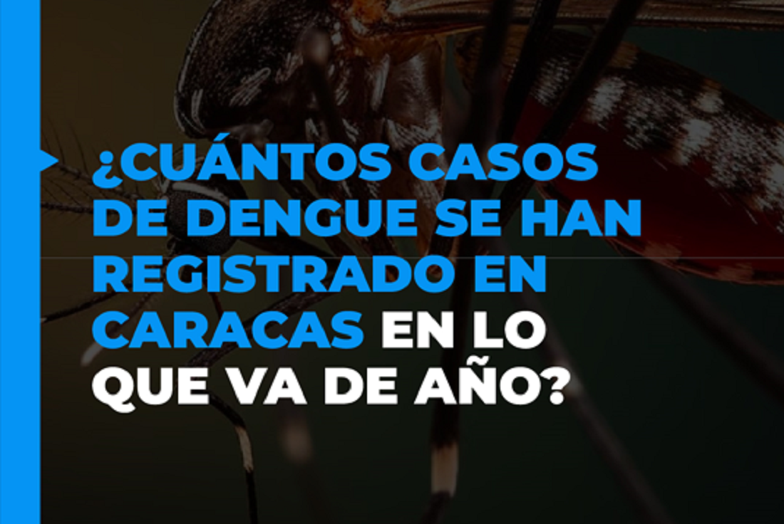 Dengue en Caracas