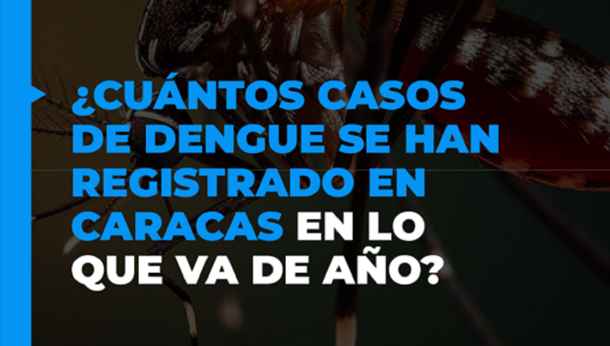 Dengue en Caracas